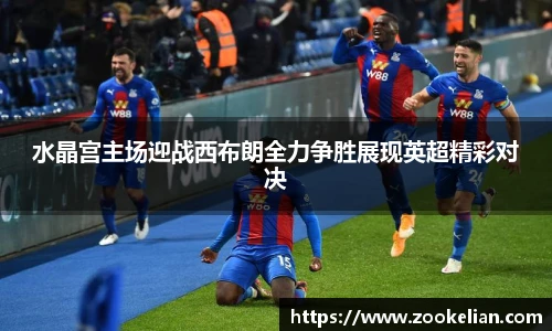 水晶宫主场迎战西布朗全力争胜展现英超精彩对决
